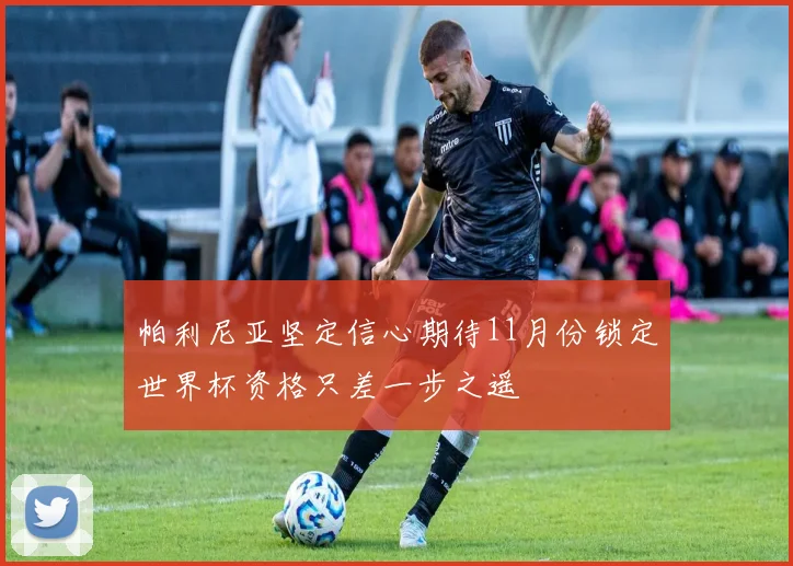 帕利尼亚坚定信心期待11月份锁定世界杯资格只差一步之遥