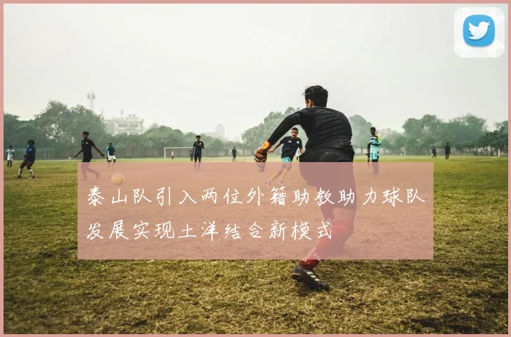 泰山队引入两位外籍助教助力球队发展实现土洋结合新模式