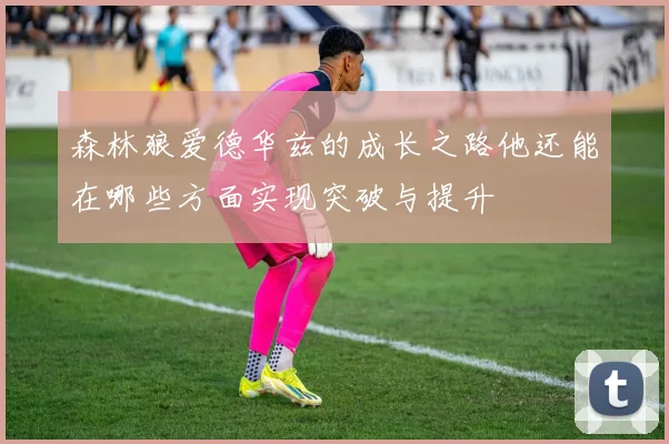 森林狼爱德华兹的成长之路他还能在哪些方面实现突破与提升