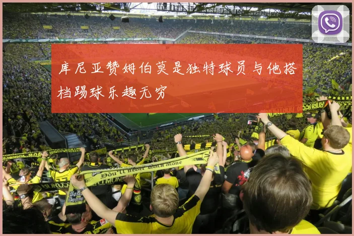 库尼亚赞姆伯莫是独特球员与他搭档踢球乐趣无穷