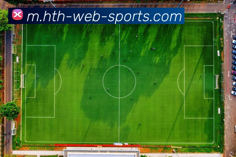 华体会体育平台生态图